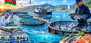 Akvakultura fəaliyyəti üçün qeydiyyat şəhadətnaməsi və Biotexnoloji Layihə Sənədi tələb olunacaq