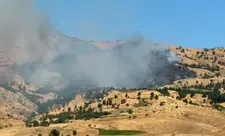 Türkiyənin Muğla və Diyarbəkir bölgələrində meşə yanğınları başlayıb
