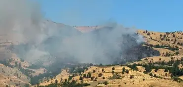 Türkiyənin Muğla və Diyarbəkir bölgələrində meşə yanğınları başlayıb