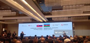 Bakıda Azərbaycan-Slovakiya biznes forumu keçirilir