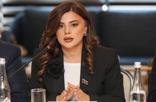 “Azərbaycan və Slovakiya münasibətləri dinamik inkişaf edir”