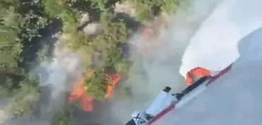 Türkiyədə meşə yanğınları başlayıb