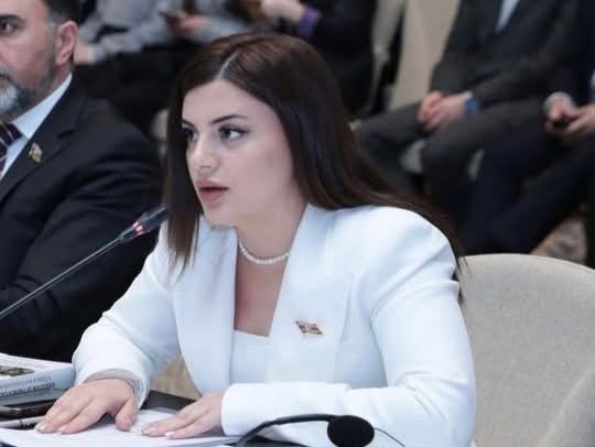 “Milli mətbuatın inkişafı bütövlükdə cəmiyyətin tərəqqisi deməkdir”