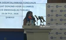 ƏSF: Azərbaycanda fiziki şəxslərin əmanətlərinin 83%-i qorunan əmanətlərdir