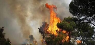 İspaniyada meşə yanğınları Madridə çatıb: hakimiyyət bunu paytaxt tarixinin ən ciddi yanğını adlandırıb