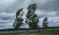 Bakıda güclü külək nəticəsində 4 nəfər xəsarət alıb