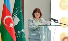 Sahibə Qafarova: Parlamentlər vətəndaşların gözləntilərini dövlət siyasətinə çevirən əsas təsisatlardır