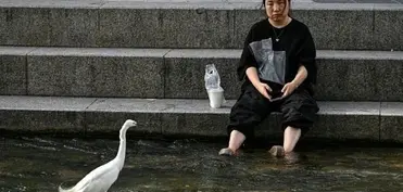 Cənubi Koreyada rekord temperatur qeydə alınıb