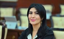 “Türkiyənin bu istiqamətdə atdığı addımlar dövlət iradəsinin göstəricisidir”