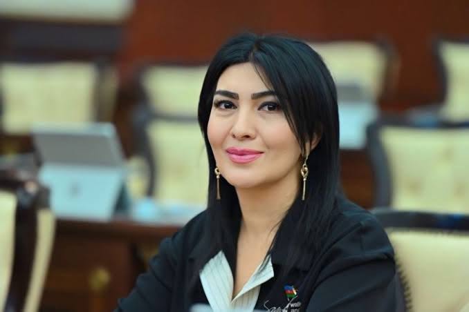 “Türkiyənin bu istiqamətdə atdığı addımlar dövlət iradəsinin göstəricisidir”