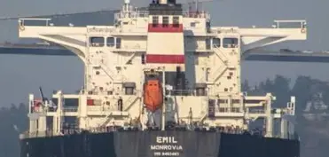“Bild”: Rusiya dronları Qara dənizdə Almaniyaya məxsus yük gəmisinə hücum edib