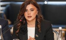 “Naxçıvan Avropanı Asiya ilə birləşdirən Orta Dəhlizin əsas həlqələrindən birinə çevriləcək”