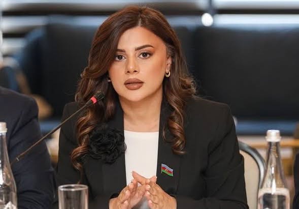 “Naxçıvan Avropanı Asiya ilə birləşdirən Orta Dəhlizin əsas həlqələrindən birinə çevriləcək”