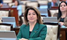 “Naxçıvan Avrasiyanın yeni nəqliyyat qovşağına çevrilir” – Tamam Cəfərova