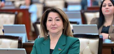 “Naxçıvan Avrasiyanın yeni nəqliyyat qovşağına çevrilir” – Tamam Cəfərova