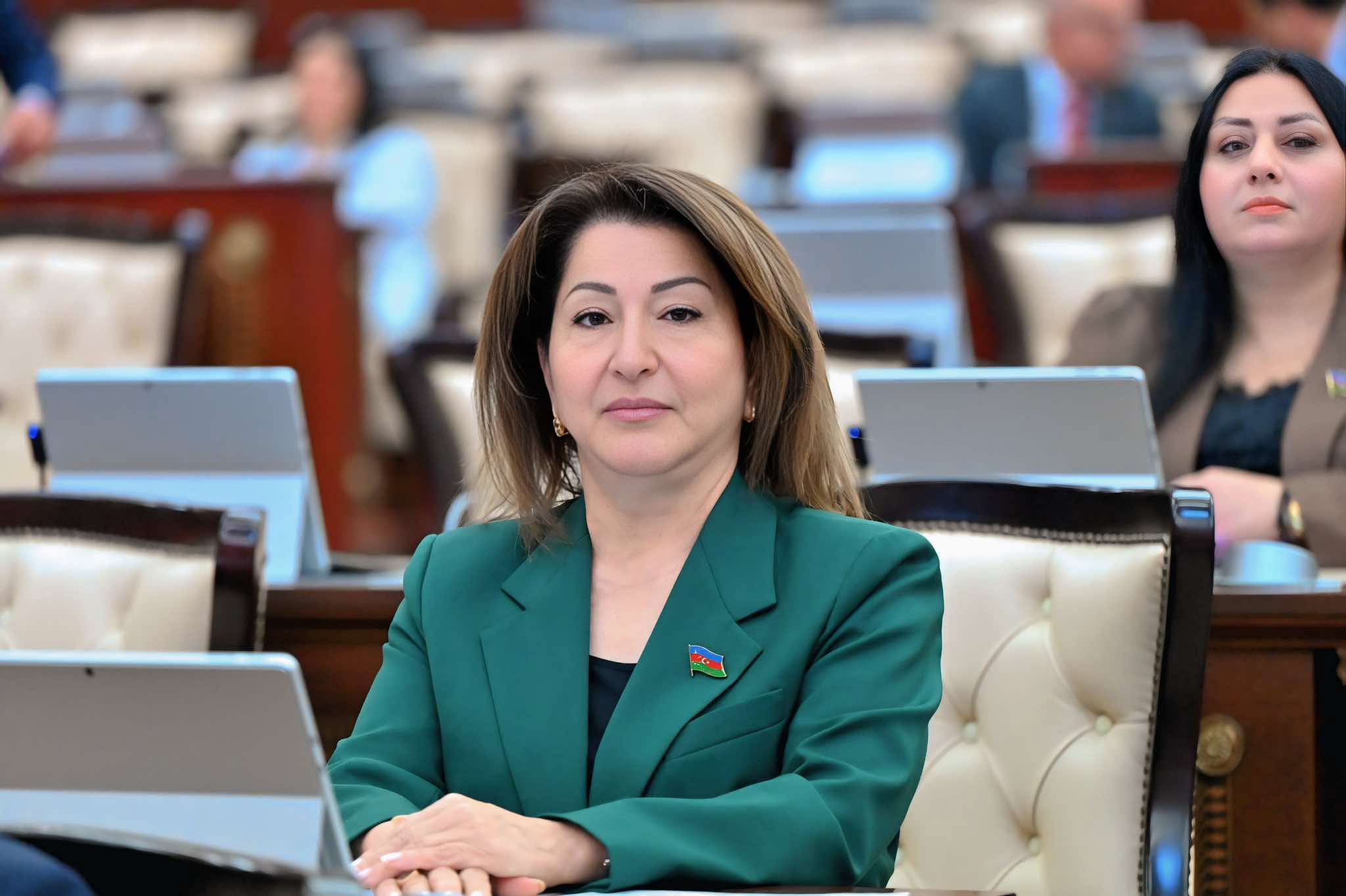 “Naxçıvan Avrasiyanın yeni nəqliyyat qovşağına çevrilir” – Tamam Cəfərova
