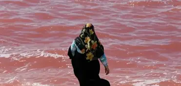 Urmiya gölü qırmızıya boyandı