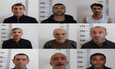 Siyəzəndə narkotik yetişdirilməsi və dövriyyəsi ilə məşğul olan 9 nəfər həbs edilib