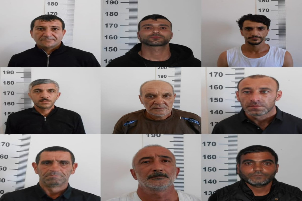 Siyəzəndə narkotik yetişdirilməsi və dövriyyəsi ilə məşğul olan 9 nəfər həbs edilib