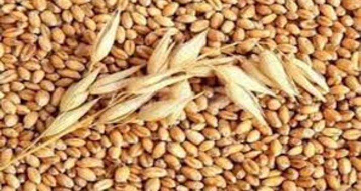 Hindistan hökuməti 4 il sonra buğda ixracına qoyduğu qadağanı ləğv etdi