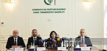 Nazir müavini: Balıqçılıq təsərrüfatlarının qeydiyyatı sadələşdiriləcək