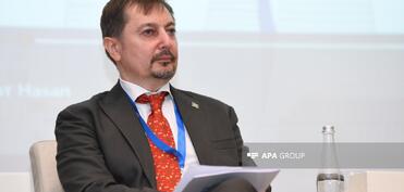 BMT nümayəndəsi: COP29 çərçivəsində 25 BMT agentliyi toplanıb və təşəbbüslərin çoxu icra mərhələsindədir