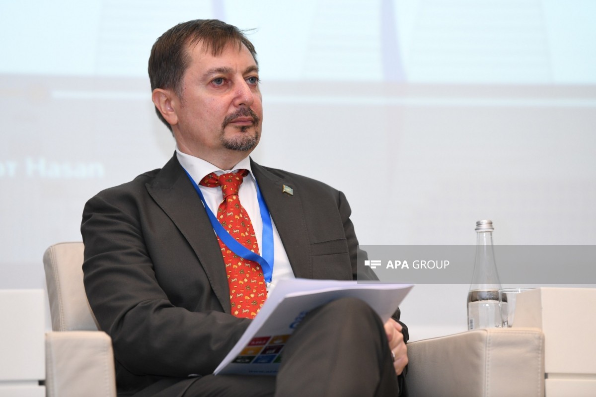 BMT nümayəndəsi: COP29 çərçivəsində 25 BMT agentliyi toplanıb və təşəbbüslərin çoxu icra mərhələsindədir