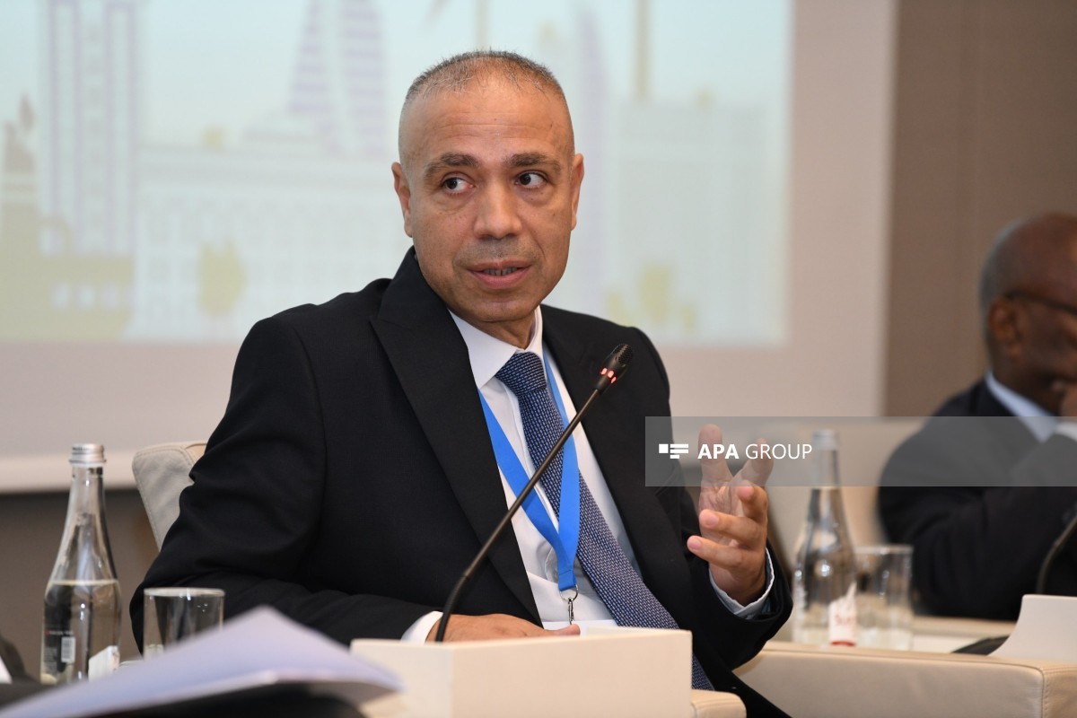 Nazir müavini: Azərbaycan bərpa olunan enerji sahəsində regional liderdir