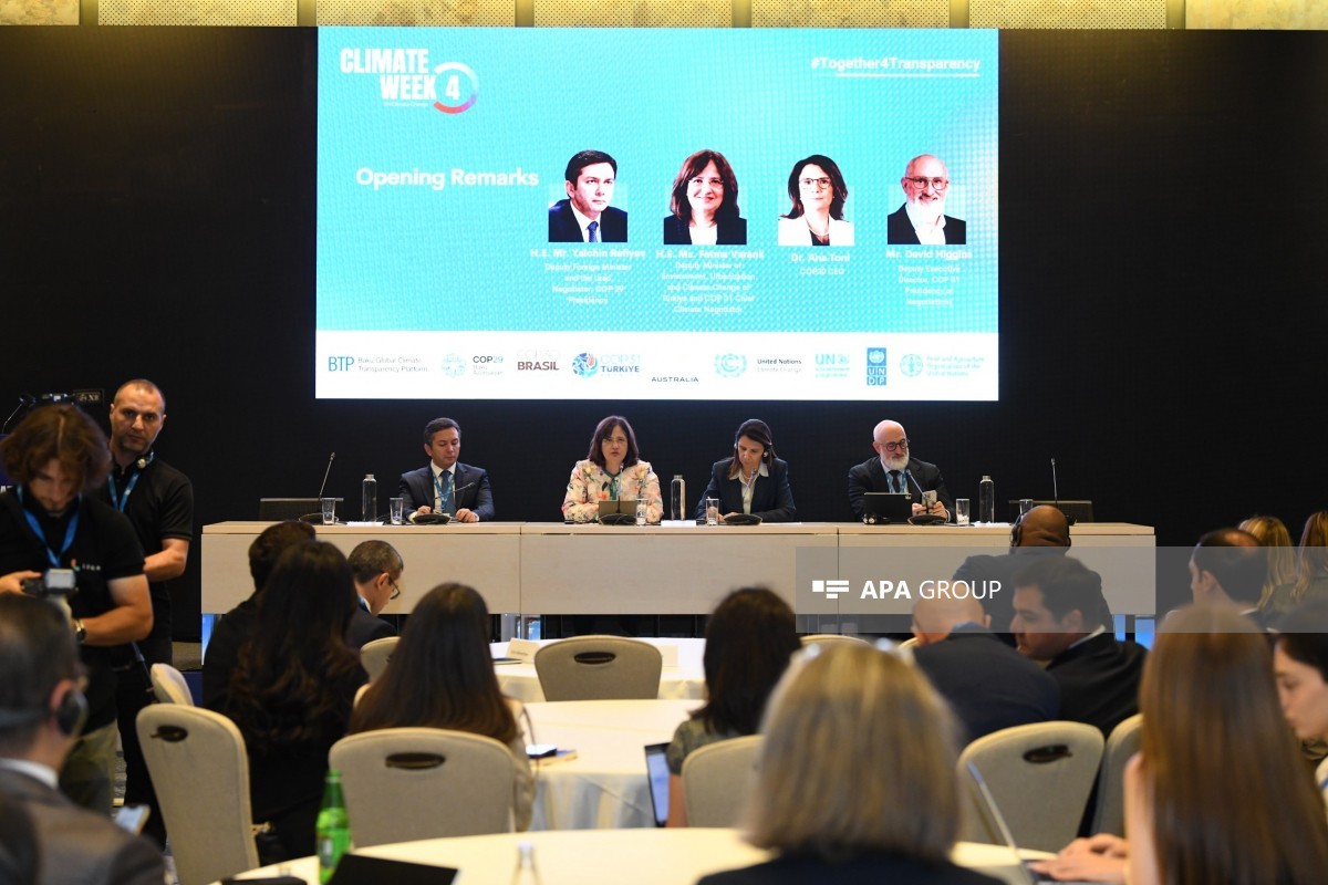 İqlim Həftəsi çərçivəsində növbəti panel sessiyası keçirilib