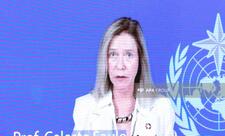 WMO Baş katibi: Süni intellekt buzlaqların monitorinqində mühüm rol oynaya bilər