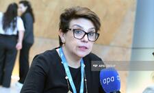Səfir: Meksika ilə Azərbaycan müdafiə və təhlükəsizlik sahəsində əməkdaşlıq edəcək - MÜSAHİBƏ
