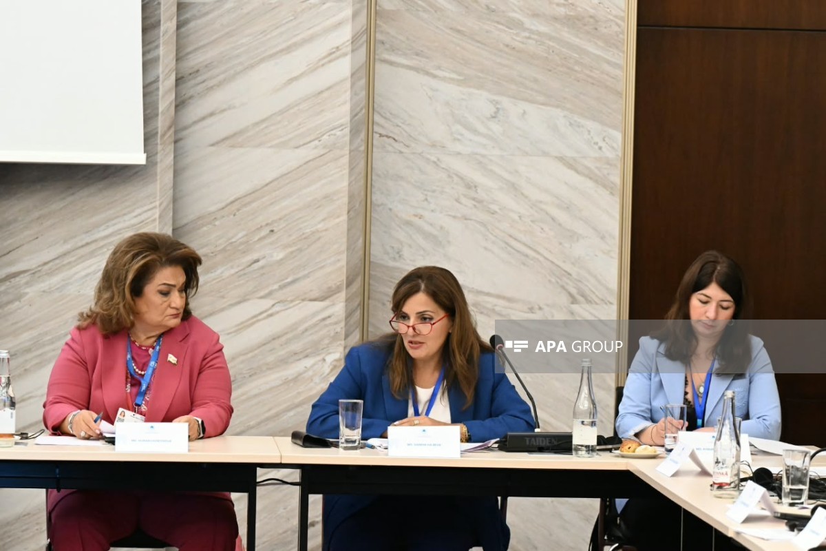 Qarabağ və Şərqi Zəngəzurda 130 abidənin inventarlaşdırılması başa çatmayıb