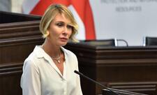 Gürcü vitse-spiker: Azərbaycanla tərəfdaşlıq münasibətləri daha da gücləndirilməlidir