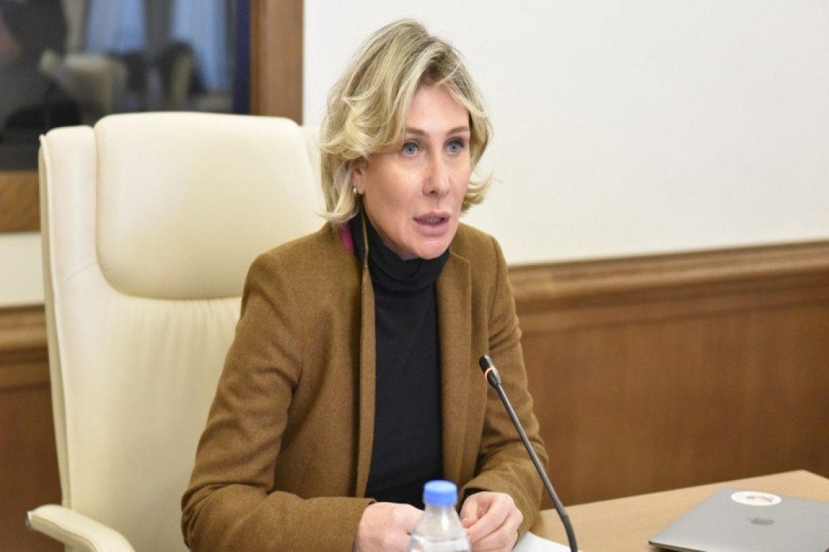Vitse-spiker: Azərbaycanın siyasi dəstəyi Gürcüstan üçün həyati əhəmiyyət kəsb edir