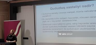 SN: Bu ilin ilk 6 ayında 1 nəfərdə quduzluq müşahidə edilib
