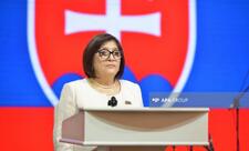 Sahibə Qafarova: Azərbaycan-Slovakiya münasibətləri strateji tərəfdaşlıq səviyyəsinə yüksəlib