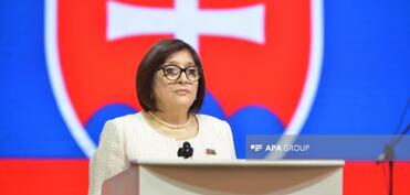 Sahibə Qafarova: Azərbaycan-Slovakiya münasibətləri strateji tərəfdaşlıq səviyyəsinə yüksəlib