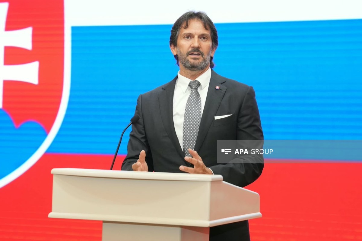 Slovakiyanın müdafiə naziri Azərbaycana gəlib