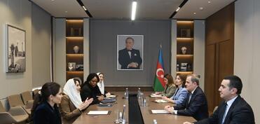 Ceyhun Bayramov Rəqəmsal Əməkdaşlıq Təşkilatının Baş katibi ilə görüşüb