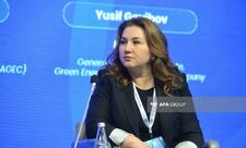 AGEC: Azərbaycanda bərpa olunan enerji layihələrinin icra mexanizmləri təkmilləşdirilməlidir