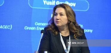 AGEC: Azərbaycanda bərpa olunan enerji layihələrinin icra mexanizmləri təkmilləşdirilməlidir