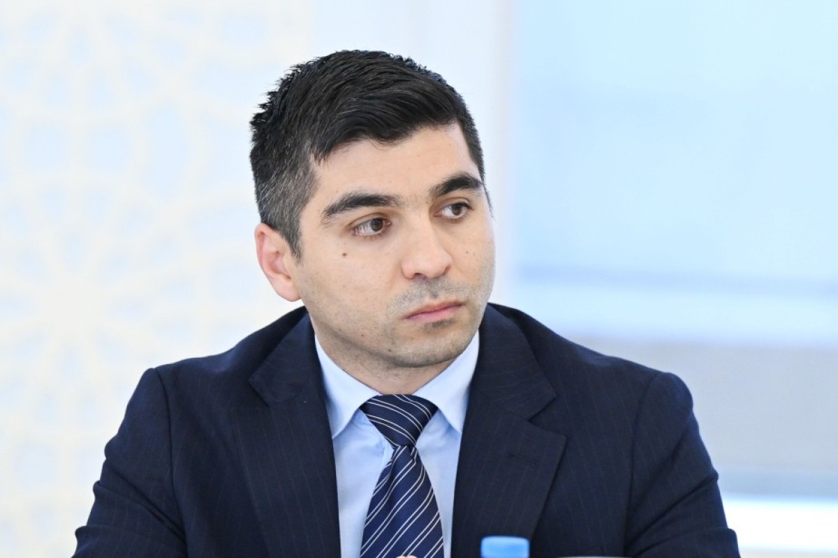 Nazir müavini: Bakı Limanının genişləndirilməsi üzrə Almaniya şirkəti ilə əməkdaşlıq müzakirə olunur