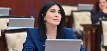 Elnarə Akimova: “Vətənpərvərlik ölkənin inkişafına töhfə verməkdir”