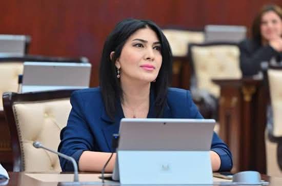 Elnarə Akimova: “Vətənpərvərlik ölkənin inkişafına töhfə verməkdir”