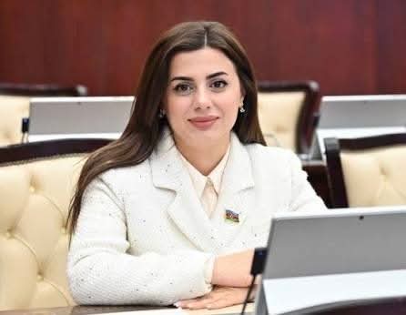 “Azərbaycan və Laos arasında beynəlxalq hüququn prinsiplərinə əsaslanan münasibətlər formalaşıb”