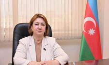 Mehriban Vəliyeva: “İkili standartlara son qoyulmalıdır”