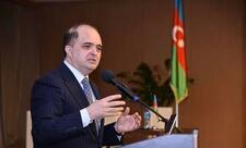 “TƏBİB keçid mərhələsində mühüm funksiyanı yerinə yetirdi”