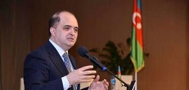 “TƏBİB keçid mərhələsində mühüm funksiyanı yerinə yetirdi”