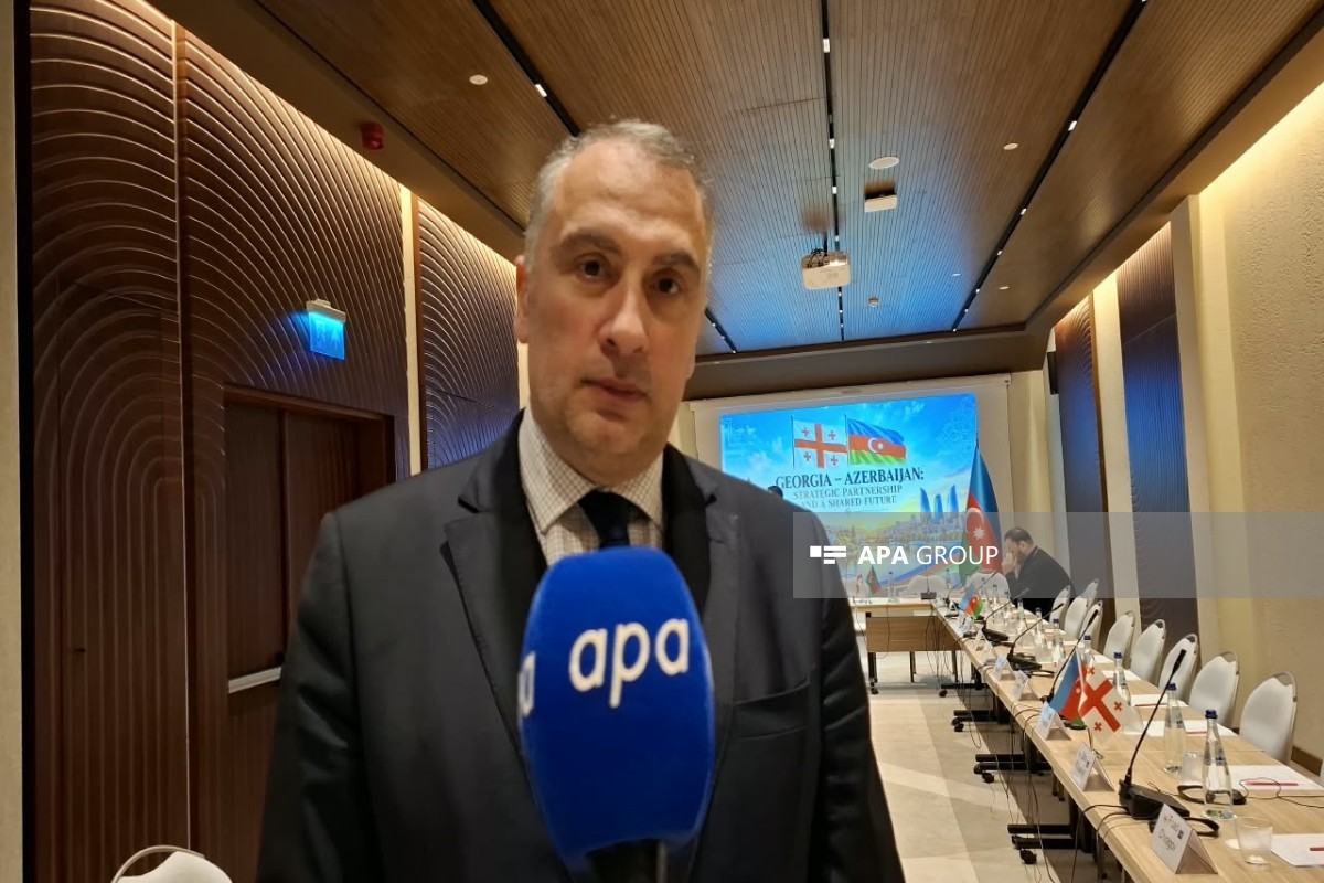 Gürcü analitik: Tbilisi və Bakı regionu bacarıqlı geosiyasi oyunçuya çevirməlidir