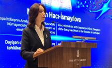 Aİ rəsmisi: Süni intellekt dövlət qurumlarına kiberhücumları erkən aşkarlamağa kömək edə bilər